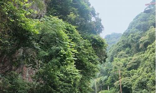 青云山攻略_青云山景区