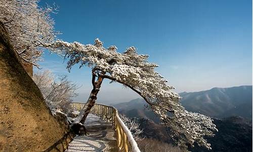 丹东冬天旅游景点哪里好玩_丹东冬天旅游景点哪里好玩一点