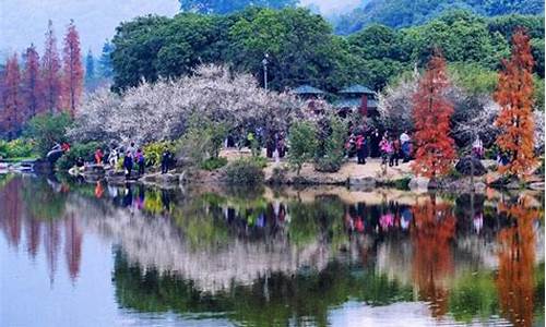 广州春季旅游景点_广州春季旅游景点有哪些